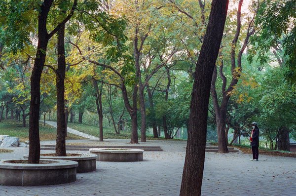 Quels sont les meilleurs brûleurs de graisse sur le marché?