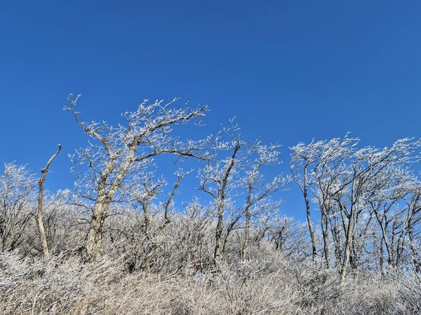 Comment la phytothérapie peut-elle vous aider à gérer votre stress et quels sont les remèdes naturels recommandés ?